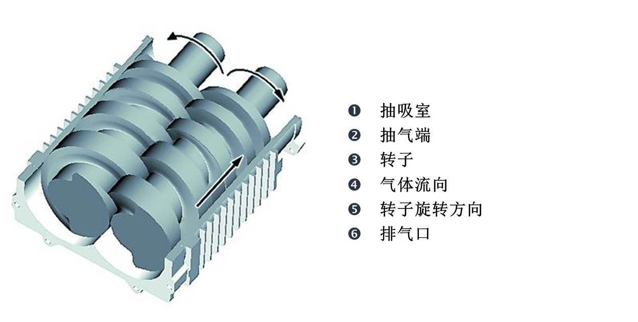 萊寶SP630懸臂式螺桿真空泵是怎么工作的