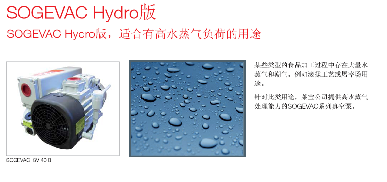 萊寶高水蒸氣版單級旋片真空泵.png